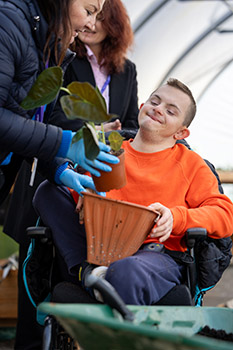 Male SEN student helping repotting a plant with two staff members. He is sitting in a wheelchair and wearing an orange jumper.
